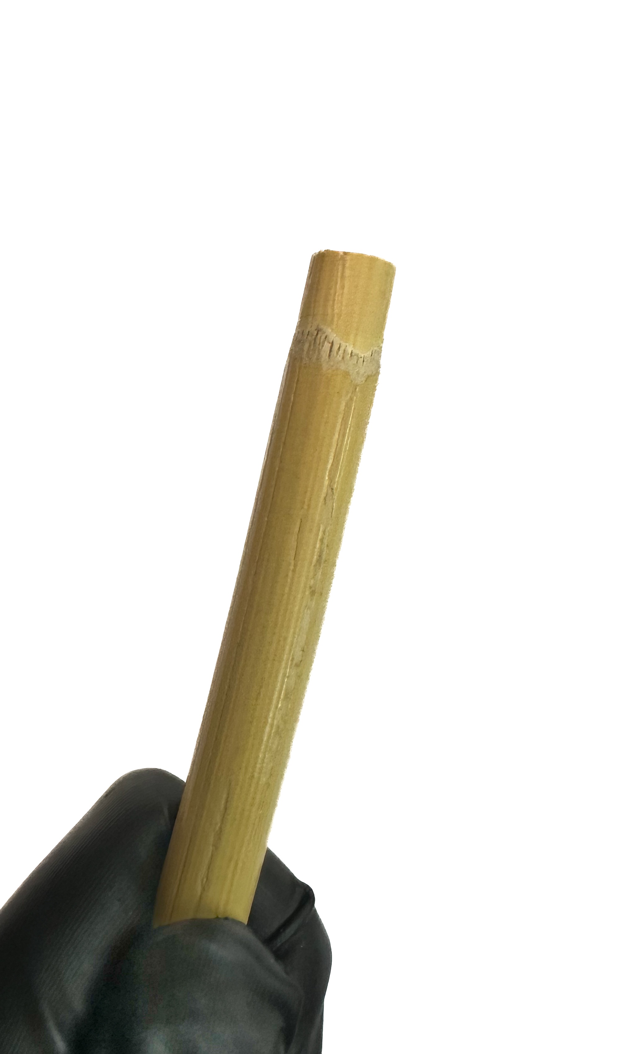 Cane unbehandelt, ungeschält, ca. 10 mm dick, Länge ca. 60 cm