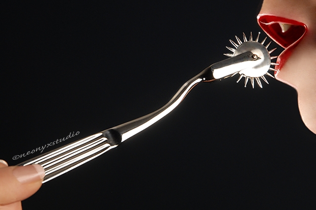 Pinwheel / Nervenrad / Nadelrad nach Wartenberg Pinwheel / Nervenrad / Nadelrad nach Wartenberg