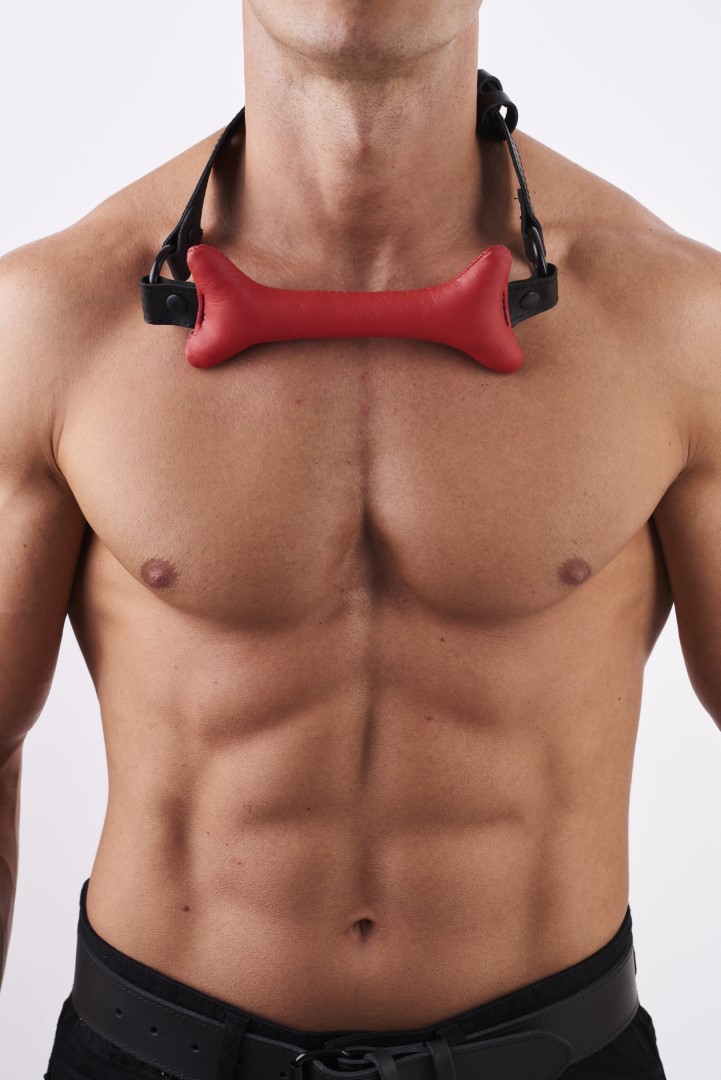 Doggy Leder Knochen Knebel Rot