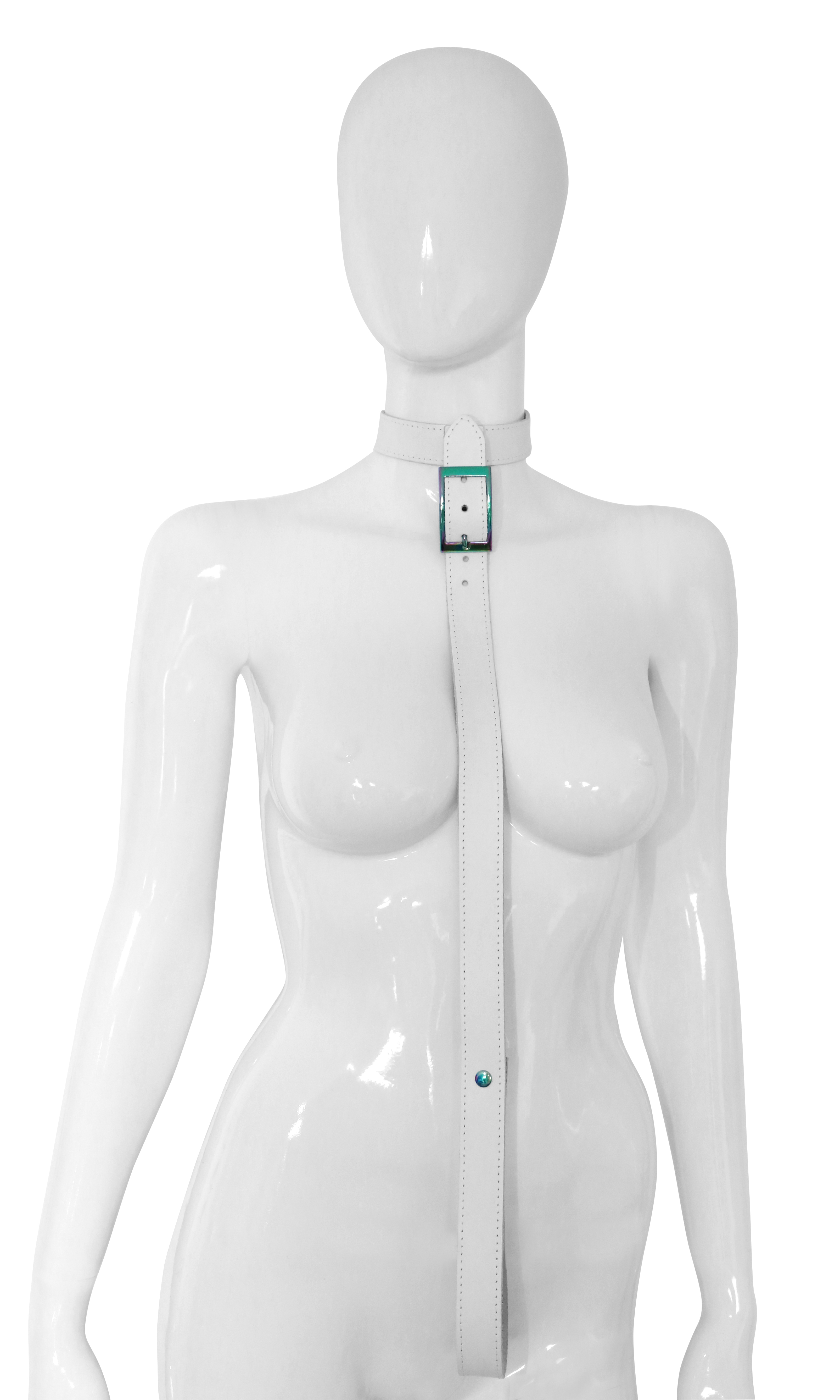 Halsfessel mit Leine Rainbow Weiss